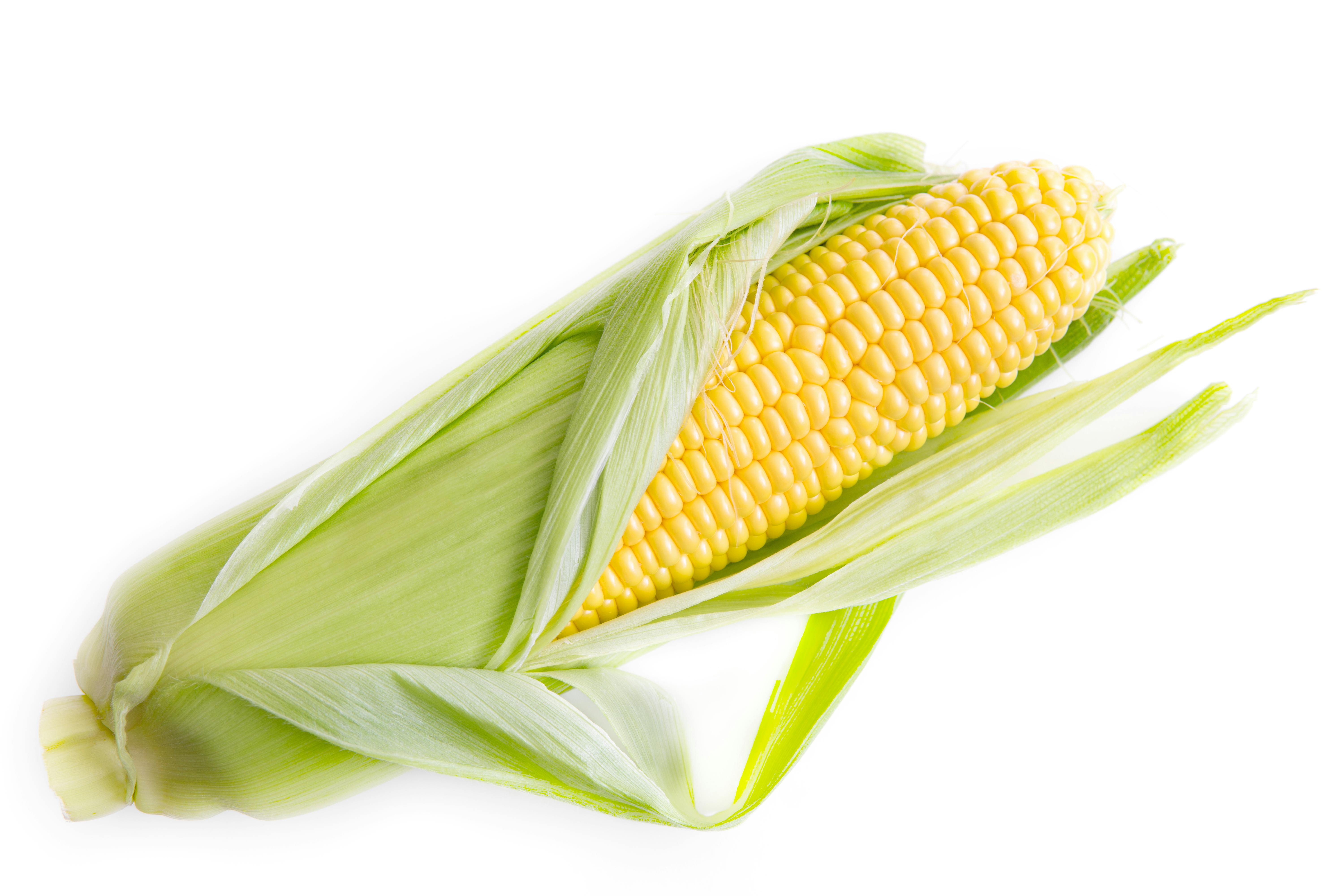 image of Corn on the cob